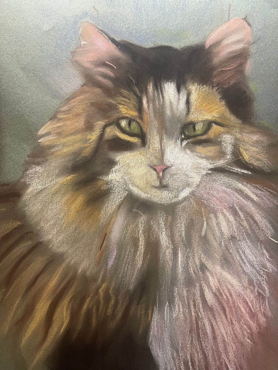 Pet Portraits in Pastel Etsy