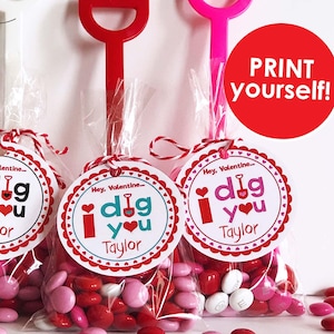 May include: Clear cellophane bags filled with red, pink, and white candies, each tied with a red and white string. Attached are round tags with the text "Hey, Valentine... I dig you Taylor" and a shovel graphic. The image also includes red and pink shovels.