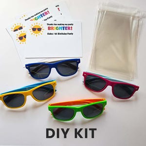 Pool Party Favors Kids Birthday Party Favors Swim Party Favors Summer Birthday Party Beach Party Favor Sunglasses Favors for Kids Girls Boys DIY Kit