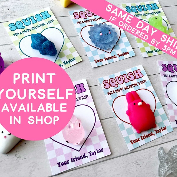 Squishy Valentine's Day Assembled Cards, PRINTED Squishy Valentine Card, Squishies School Valentines for Class, Candy Free Fidget Toy DIY