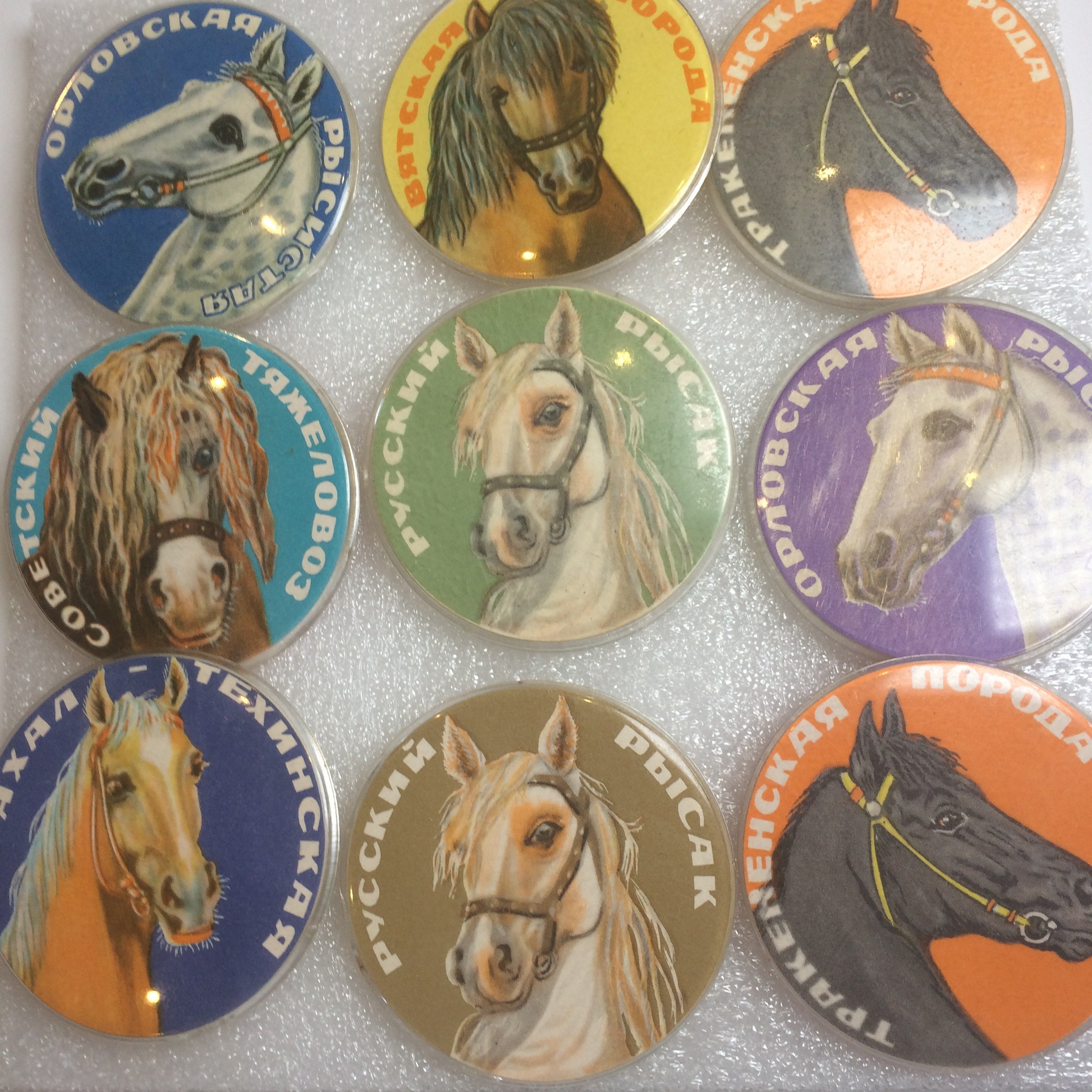 Horse Badge Breeds of Horses Vintage Collectible Plastic | Etsy