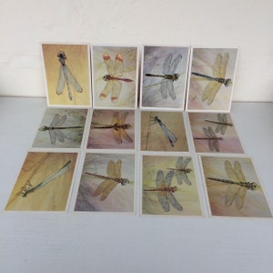 Cartolina sovietica, set di 12 carte, libellula, mosca selvatica, farfalla, URSS, cartolina vintage, 1987
