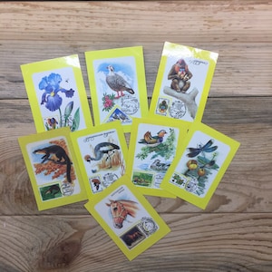 Pocket calendars, flora, fauna, nature, USSR, Rare, 1990s, set of 8