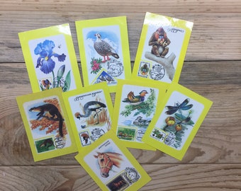Pocket calendars, flora, fauna, nature, USSR, Rare, 1990s, set of 8