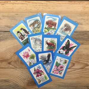 Pocket calendars, flora, fauna, nature, USSR, Rare, 1990s, set of 11