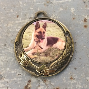 May include: A gold-toned metal medallion with a picture of a German Shepherd dog in the center. The dog is lying down on a grassy field. The medallion has a torch and laurel wreath design around the edge.