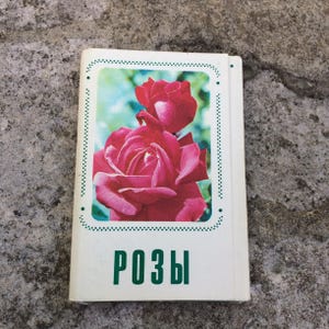 roses, set of 30 postcards, postcards with flowers, postcards with roses,all the roses in the world,  vintage postcards, ussr, 1973
