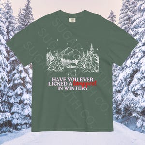 Fantasy Winter Himbo Tee, Video Game Tshirt, Comfort Colors 1717