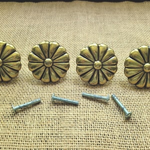 May include: Four round, brass-toned metal drawer knobs featuring a raised, multi-petaled floral design. Each knob has a central circular detail and radiating petals. Four silver-colored metal mounting screws are positioned below the knobs.
