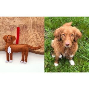 May include: A felt dog ornament in brown with white accents. The ornament is hanging from a red ribbon. A real dog of the same breed is pictured in the background.