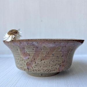 May include: A brown and white ceramic bowl with a speckled glaze. The bowl has a wide rim and a rounded base.