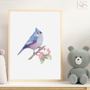 Explore the beauty of nature with this aesthetic poster, featuring a tufted titmouse - blue and pink  bird, perfect for creating a whimsical atmosphere in your nursery.