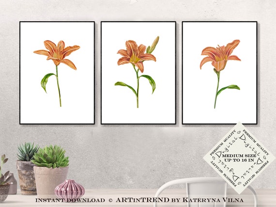 Farmhouse wall decor fixed of 3 prints, Lily flower printable wall artwork mounted for floral dwelling decor, Downloadable art graphic relating to Etsy Printable Wall Art titled Farmhouse wall decor mounted of 3 prints, Lily flower printable wall artwork established for floral dwelling decor, Downloadable art