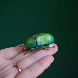 Green Scarab Beetle - Scarabaeus Hair Clip - scarab beetle hair clip - realistic scarab beetle - polymer clay beetle - scarabaeus insect