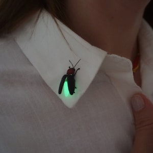 Può includere: Una spilla a forma di lucciola nera e rossa con un addome verde brillante è appuntata su una camicia bianca con colletto. La lucciola ha ali e antenne dettagliate. La spilla è un accessorio unico.