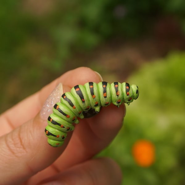 CATERPILLAR PIN / Papilio machaon caterpillar,  swallowtail caterpillar pin,  realistic caterpillar pin,  Green caterpillar pin