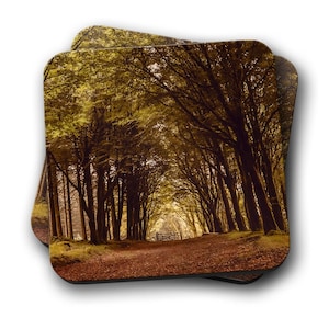 Woodland path, Autumn Colours Coaster