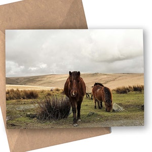 Ponies at Merrivale Greetings Card (Dartmoor)