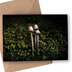 Carte de voeux de champignons féeriques (Dartmoor)