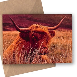 Highland Cow Greetings Card (Dartmoor)