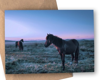 Highmoor Ponies Greetings Card (Dartmoor)