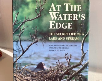 At the Waters Edge by Stephen Dalton | Vintage Books