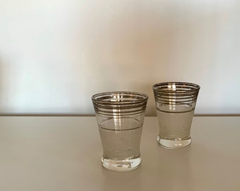 Silver Lined Shot Glasses