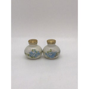 Floral Salt & Pepper Shaker Hand Painted Blue Forget-Me-Nots