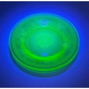 May include: A round glass plate glowing with a bright neon green fluorescence under ultraviolet light. The plate features a central embossed floral pattern and a decorative border with repeating etched motifs along the outer rim.