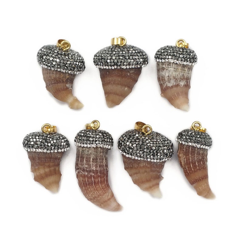 NP378 Naturall Fossil Coral Pendant Tooth Shape Pendant Rhinestone Pave Pendant In Random Size Wild Coast Jewelry