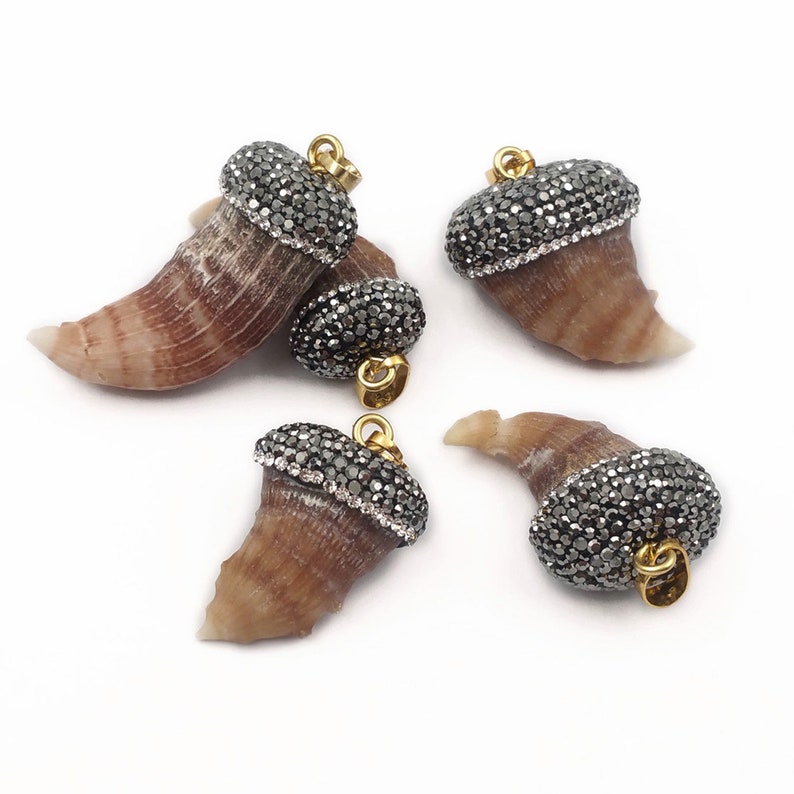 NP378 Naturall Fossil Coral Pendant Tooth Shape Pendant Rhinestone Pave Pendant In Random Size Wild Coast Jewelry
