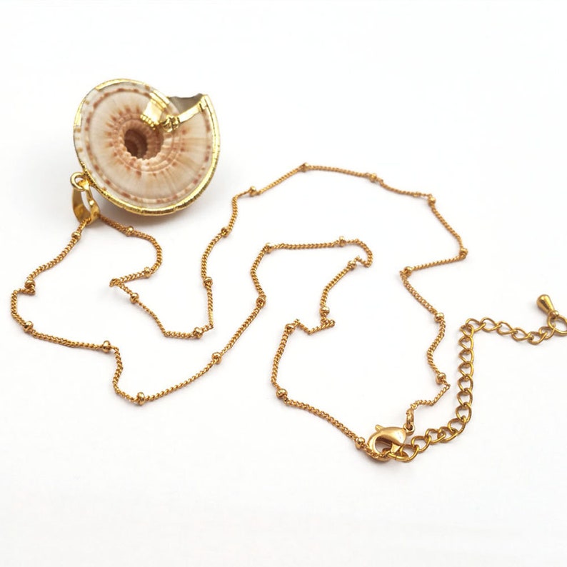 JN001 Wholesale Natural Statement Necklace Raw Sea Trumpet Shell Necklace With 24k Gold Dipped Chain Necklace