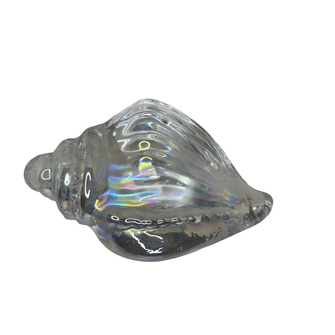 Iridesent Sea Shell Paperweight Beach Decor Etsy