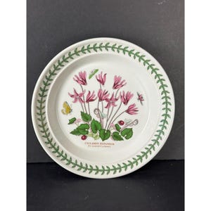 Puede incluir: Plato de cerámica blanca con un diseño floral con flores de ciclamen rosas, hojas verdes y una mariposa amarilla. El borde tiene un patrón de hojas verdes. Texto: "CYCLAMEN REPANDUM by Leaved Cyclamen."