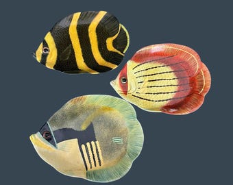 Tropical Fish Shaped Tray Plate Platter Set Of 3 real Looking Eye Beach Decor