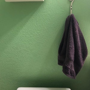May include: A white shelf with the words "wash. brush. floss. flush." on a black sign. A dark gray towel hangs on a decorative hook on a light green wall. A white toilet tank is in the lower right corner of the image.