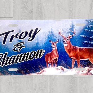Custom License Plate Car Tag | Personalized License Plate | Airbrush License Plate