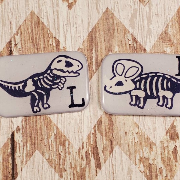 Conjunto de marcadores de rayos X fósiles de dinosaurios