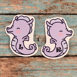 Seahorse Xray Marker Set