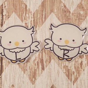 White Owl Xray Marker Set