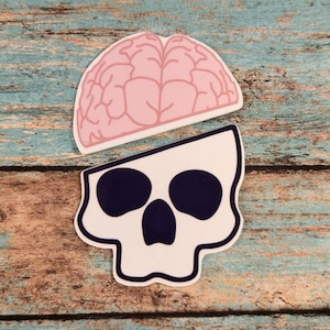 Brain Skull Xray Marker Set