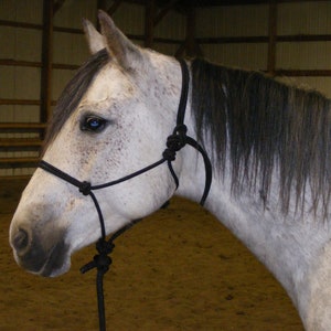 Handmade Rope Halter with 11' Lead