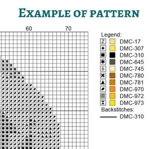May include: A cross-stitch pattern chart with a black and white design of a flower. The chart includes a legend with different colored threads and their corresponding DMC numbers. The text "EXAMPLE OF PATTERN" is at the top of the chart.