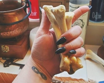 Yes/No Bone Reading | Divination | Bone Throwing | Osteomancy | Reading