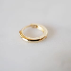 May include: A small, gold-colored hoop earring. The earring is made of metal and has a simple, circular design.