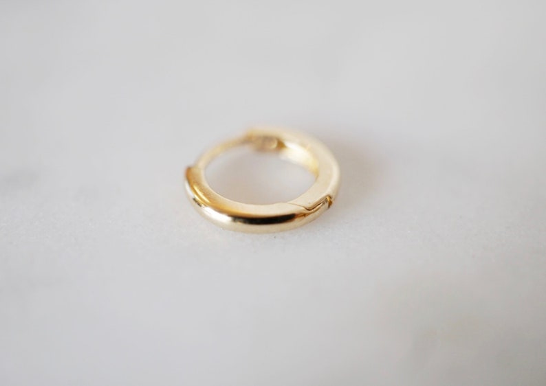 May include: A small, gold-colored hoop earring. The earring is made of metal and has a simple, circular design.