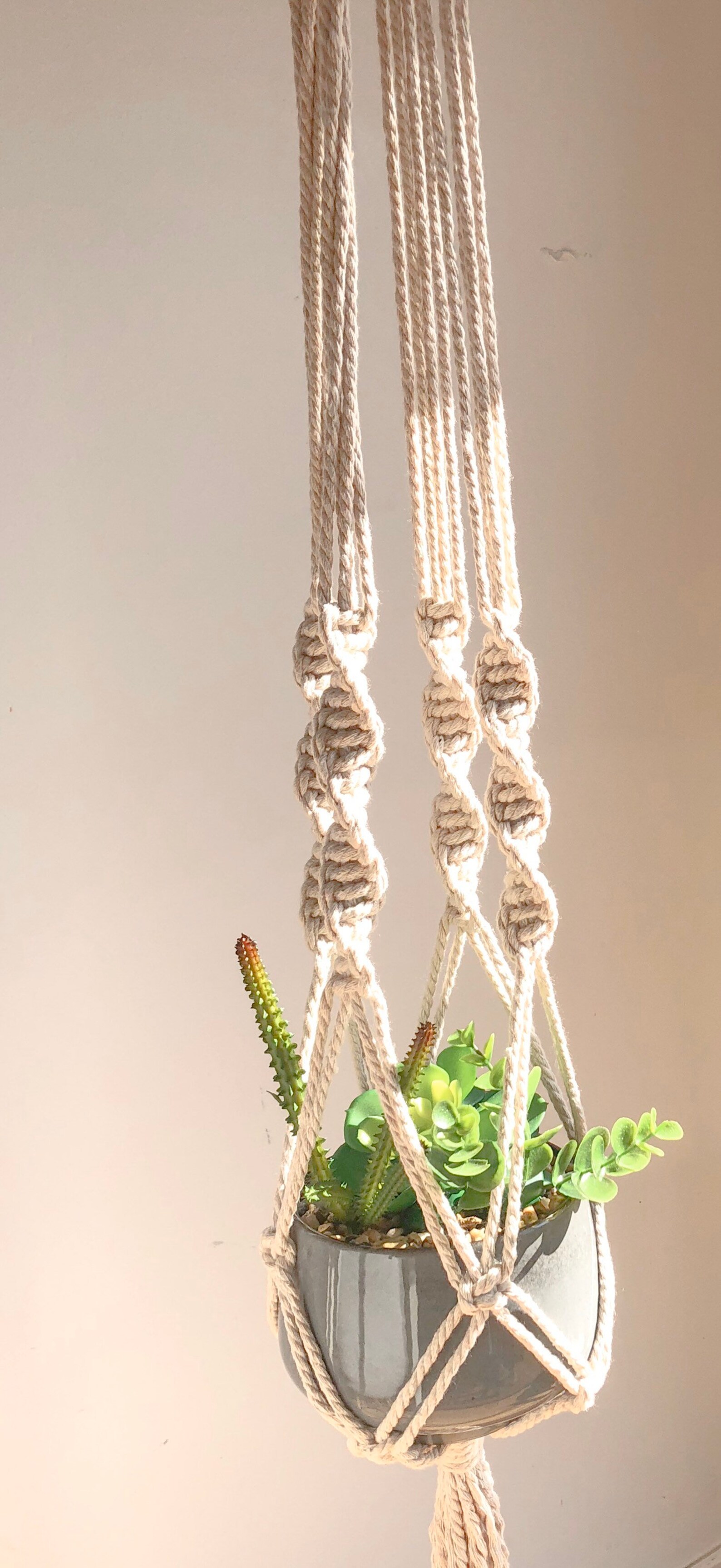 Macrame Plant Hanger Kit DIY Kit de Macrame para Etsy