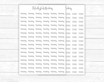 SC-15 // Autocollants de planificateur de script de formation