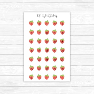 Planificateur de chiffres DC-45 // Fraises