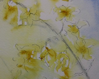 Forsythia, Original Watercolor with Ink